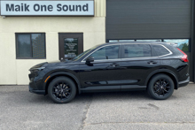 2024 Honda CR-V window tint
