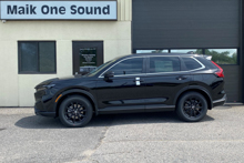 2024 Honda CR-V window tint