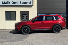2026 Honda CR-V window tint